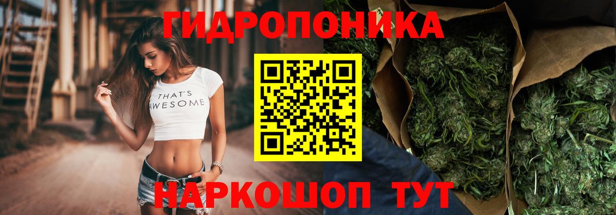 Красноярск  Бошки марихуана Amnesia  Марихуана ГИДРОПОН  Вход с VPN 